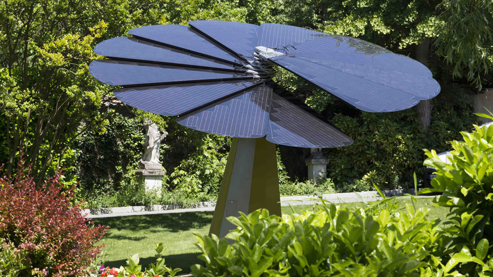 The Smart Solar Flower Designs & Ideas on Dornob