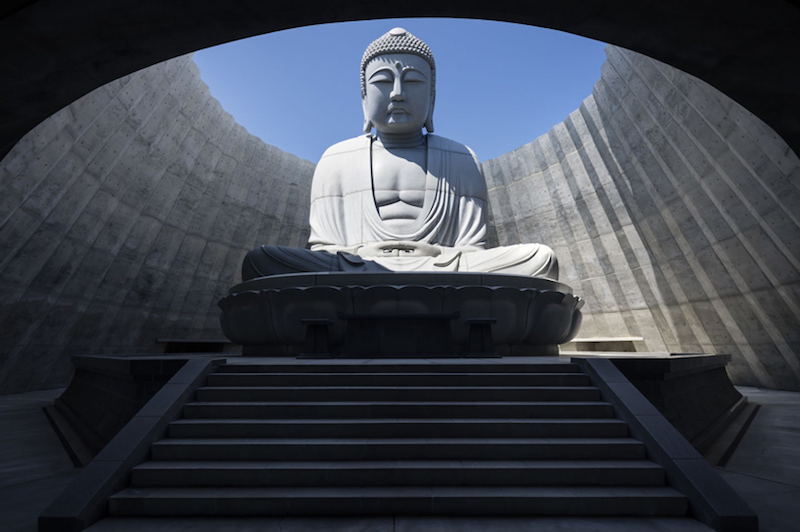 Tadao Ando Encases Giant Buddha in Lavender Mound