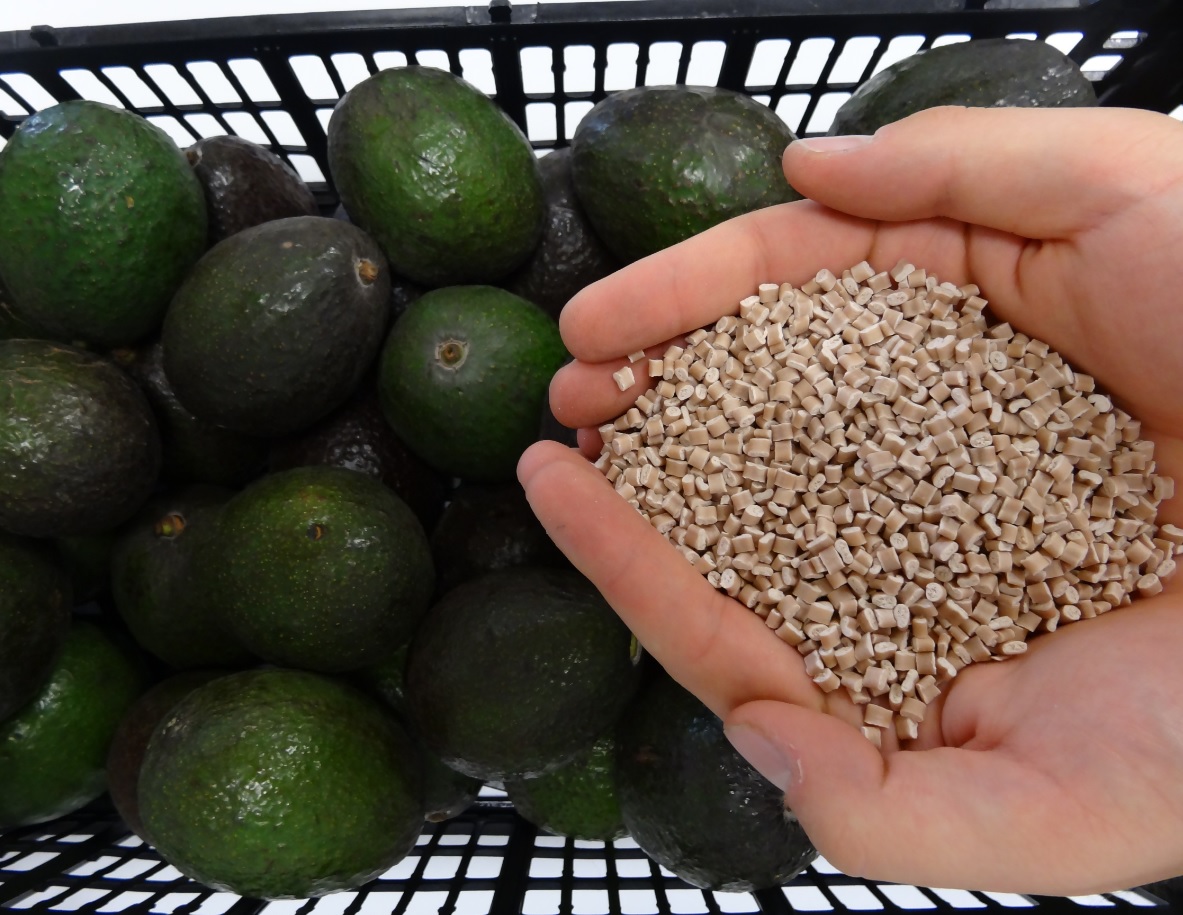 This Company Makes Biodegradable Plastics from Discarded Avocado Pits