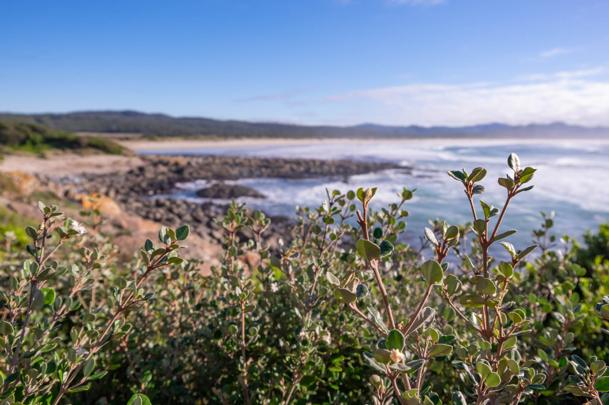 Post a Job Dorset Employment Connect