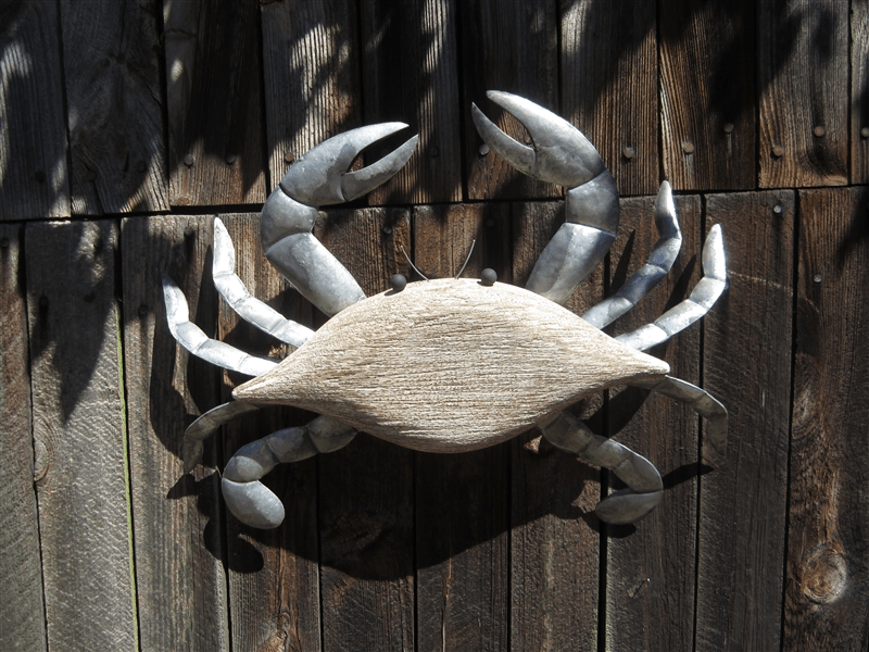 Large White Crab Wall Art Dorset Gifts