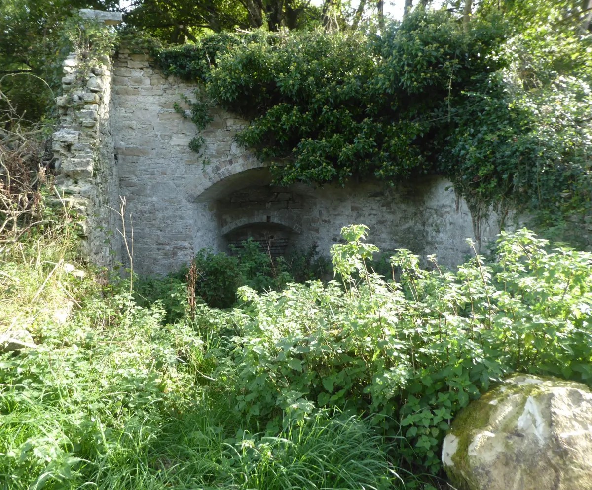 Poxwell Quarry and Limekiln DIGS Dorset's Important Geological Sites
