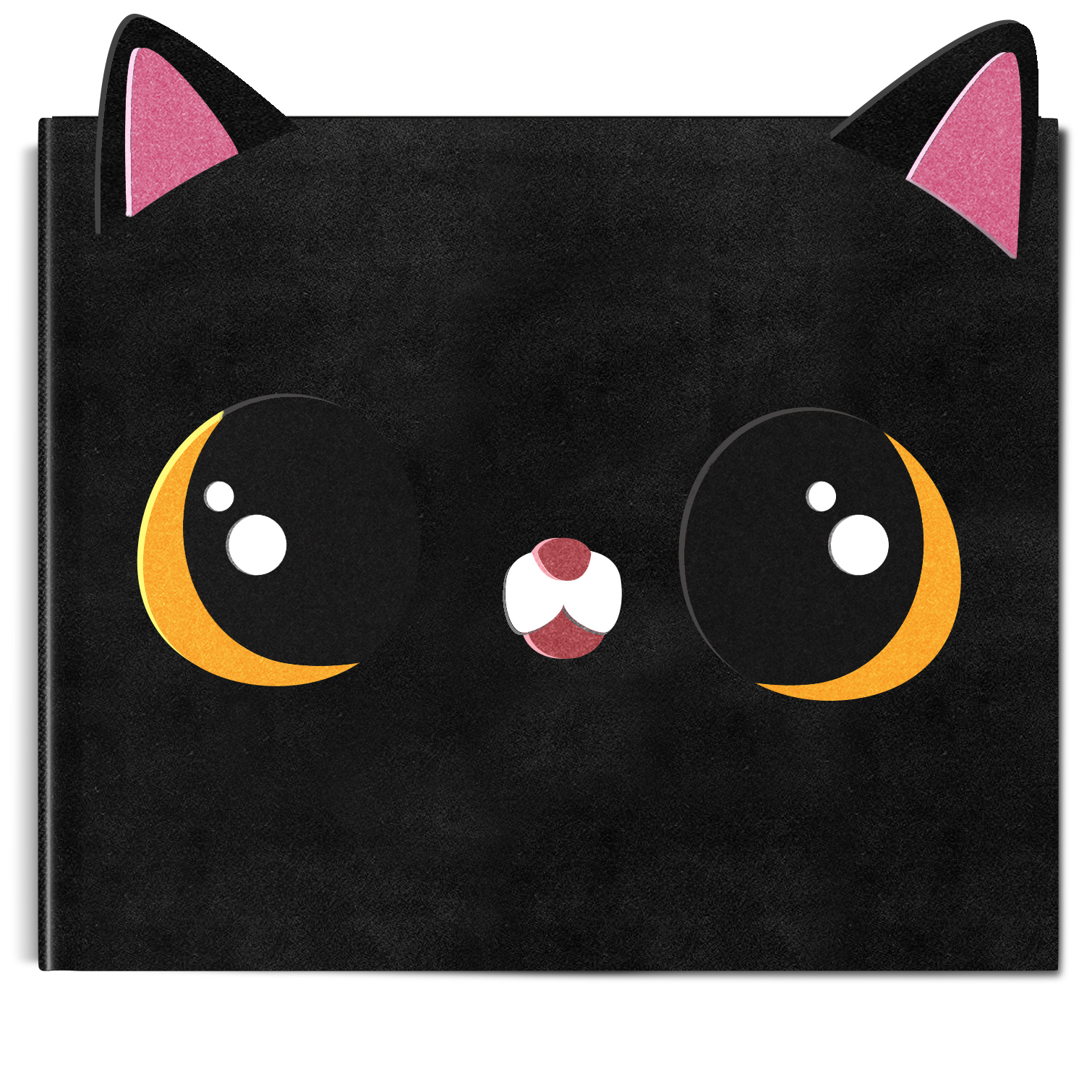 Gato Negro Libro terciopelo Dos IlustraDos