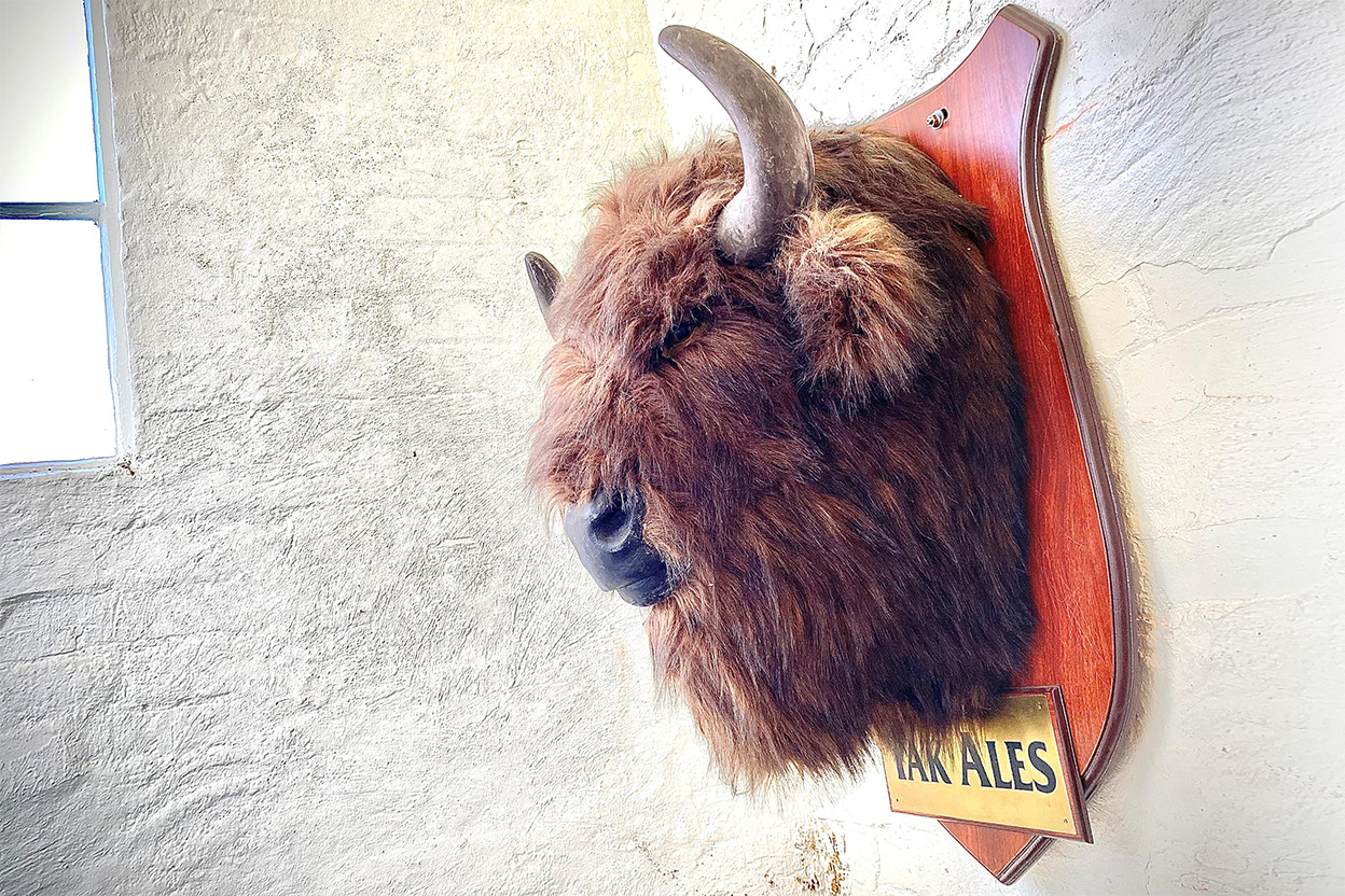 Yak Ales Purchase Point