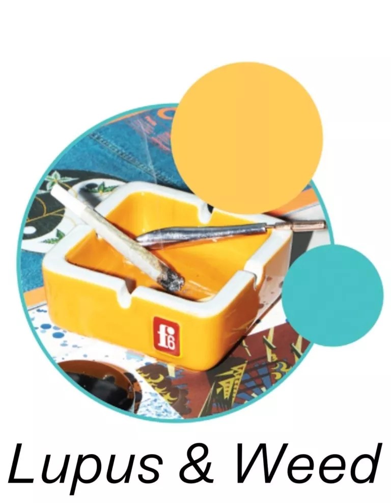 Cannabis for Lupus How to talk to your doctor How To Do The Pot