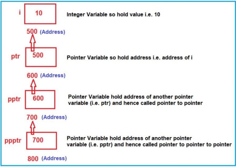Pointer to Pointer in C Language with Examples Dot Net Tutorials