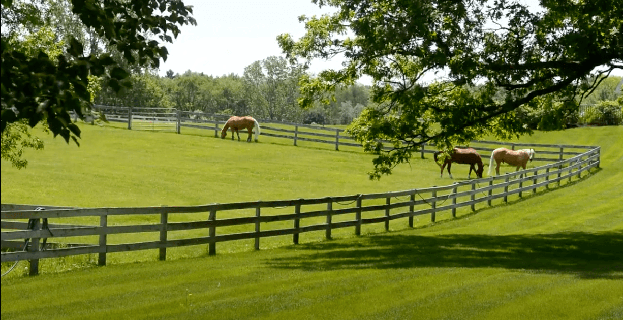 About Us Dotson & Associates Realty