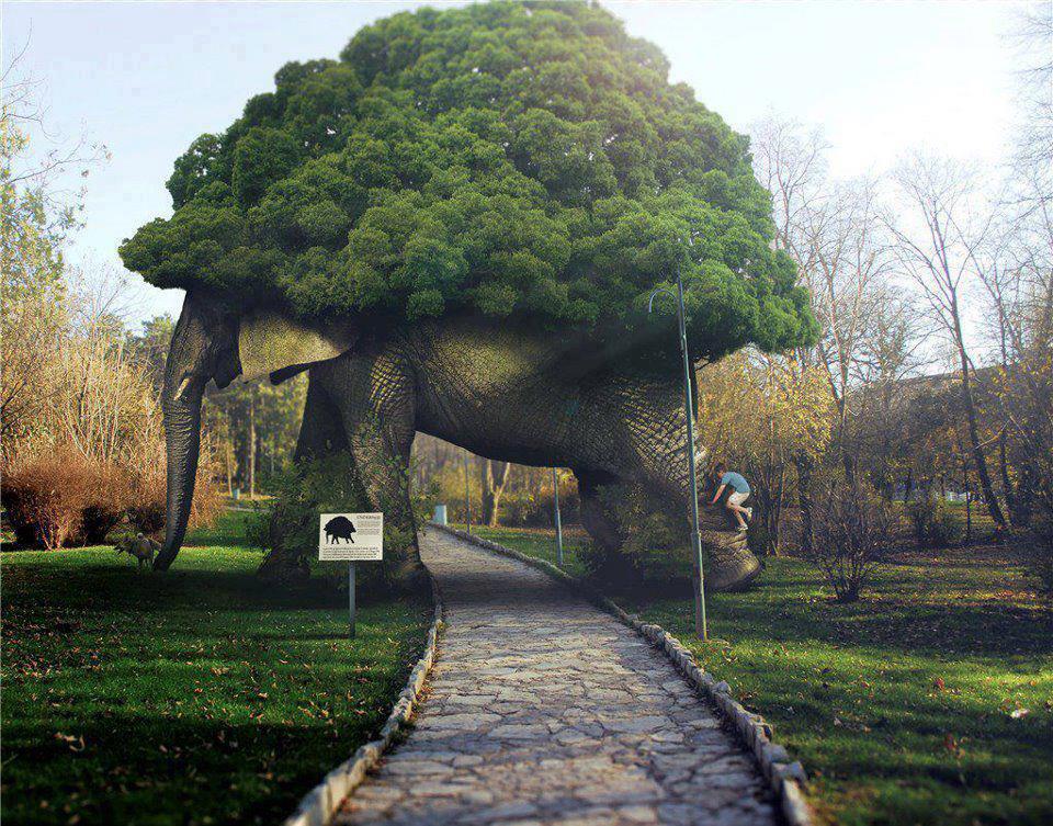 'Elephant Tree Arch' is a manmade wooden elephant with a tree on top [Amazing Photo of the Day