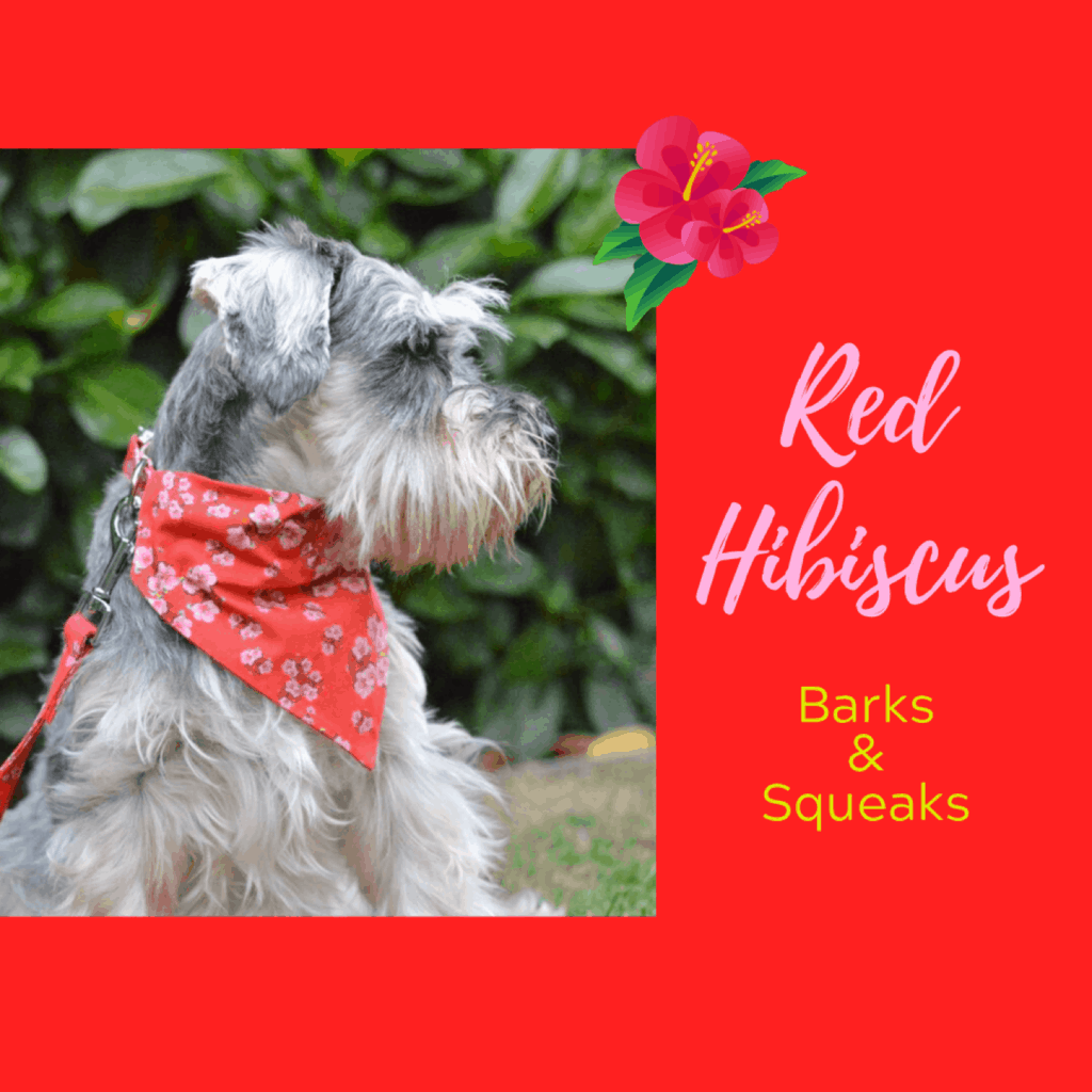 Dog Accessories and Gifts for Dog Lovers Barks & Squeaks Dotty4Paws