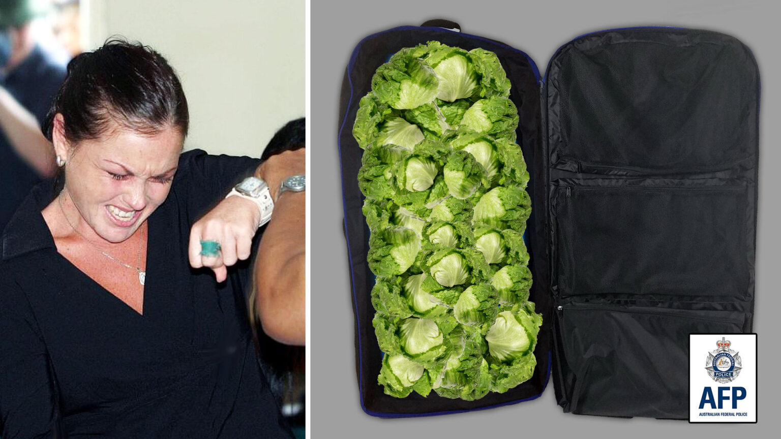 Schapelle Corby Arrested After Entering Australia With A Boogie Board Bag Full Of Lettuce