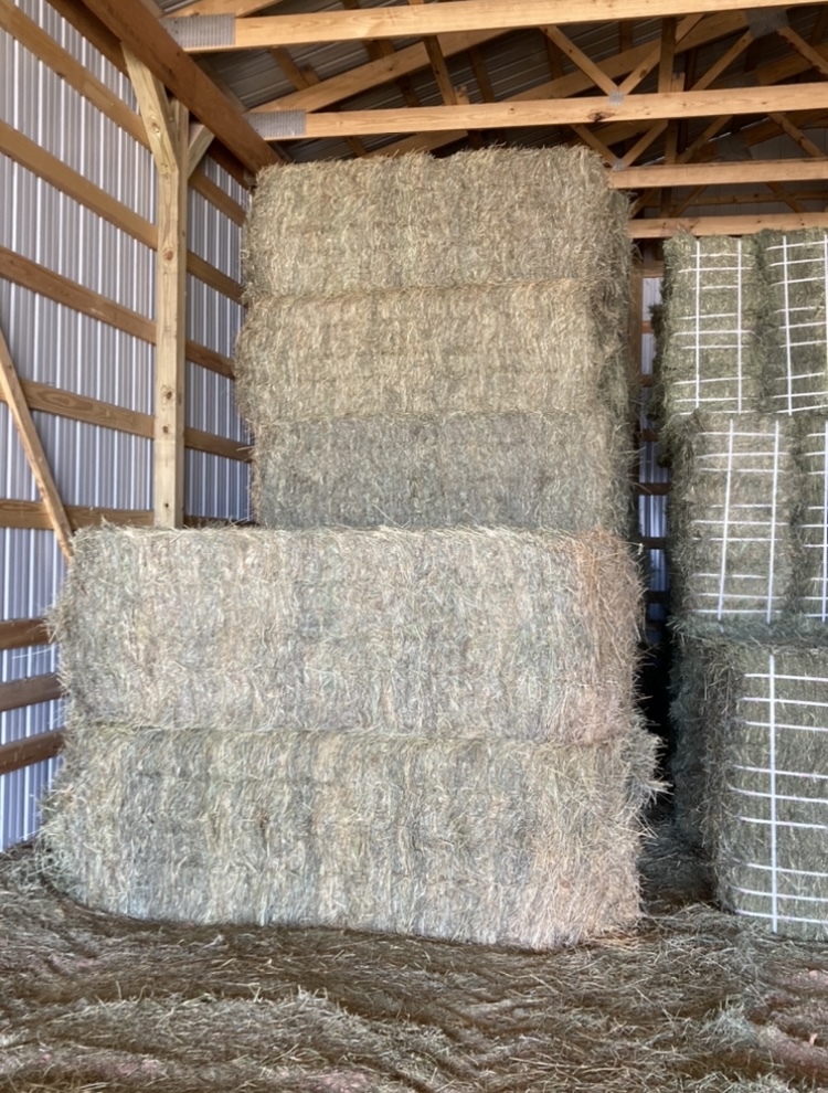 Horse Hay for Sale Brome Grass 3x3