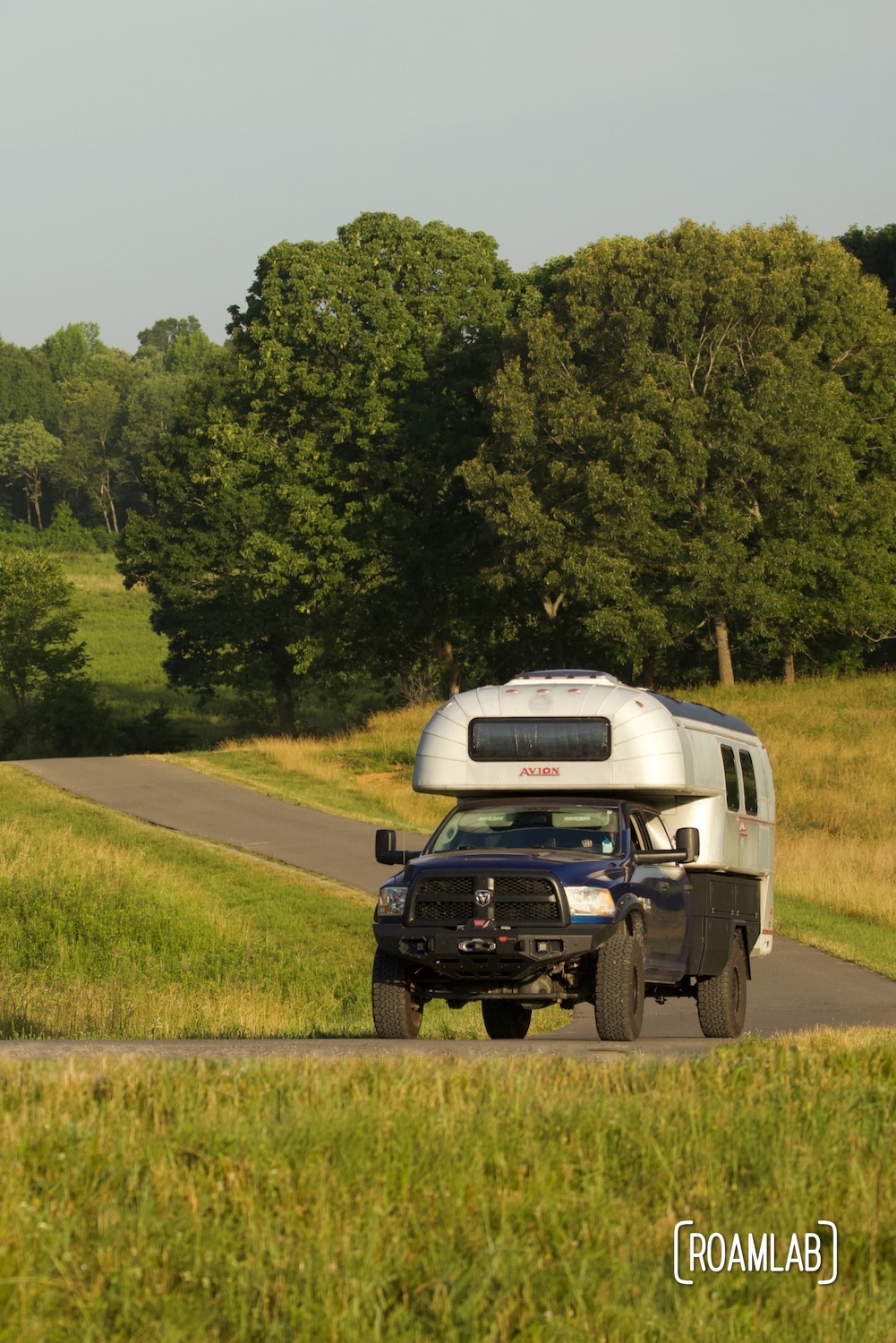 Elk and Bison Prairie Land Between the Lakes Roam Lab