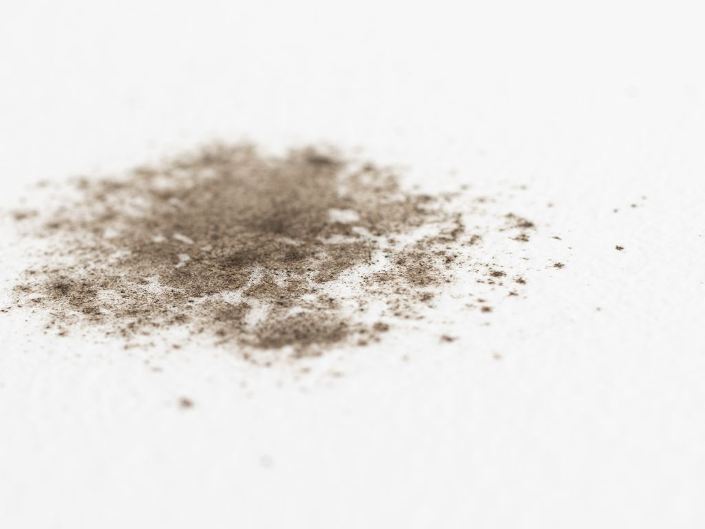 What kills black mold instantly? Double Clean Restoration