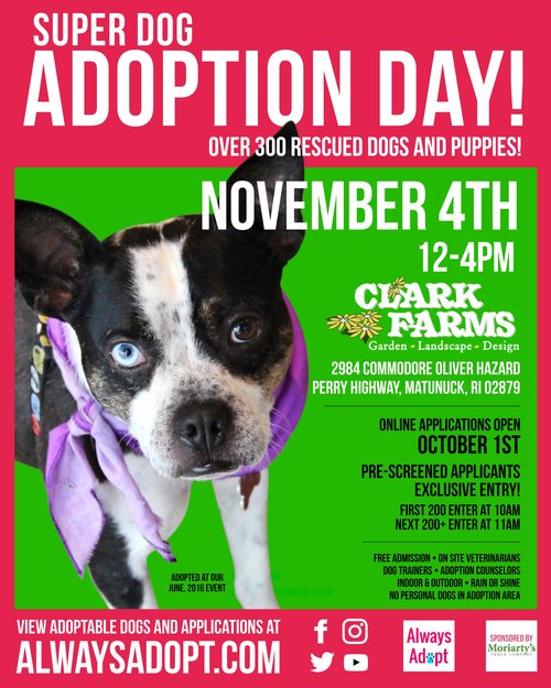 nov17_FINAL Double Dog Rescue