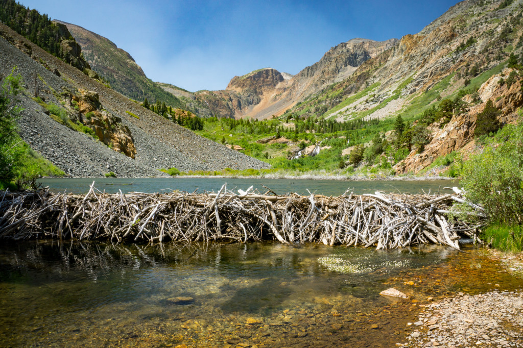 Lundy Canyon Trail Double Eagle Resort and Spa