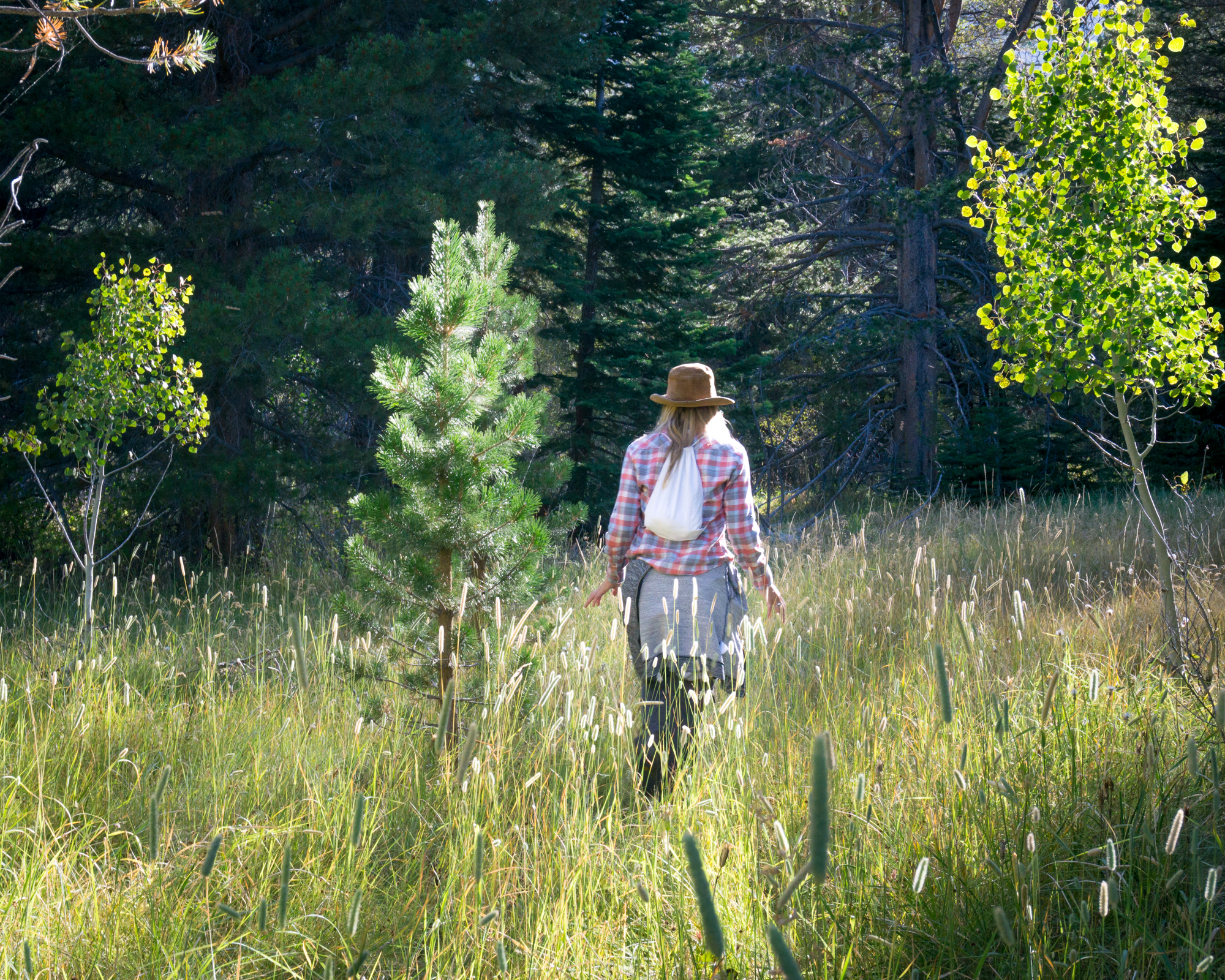 Walker Lake Trail Double Eagle Resort and Spa