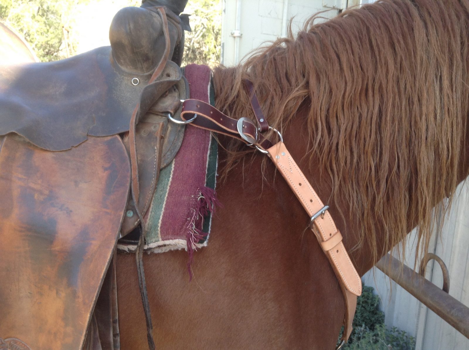 Custom Horse Gear Double Eagle Leathersmith