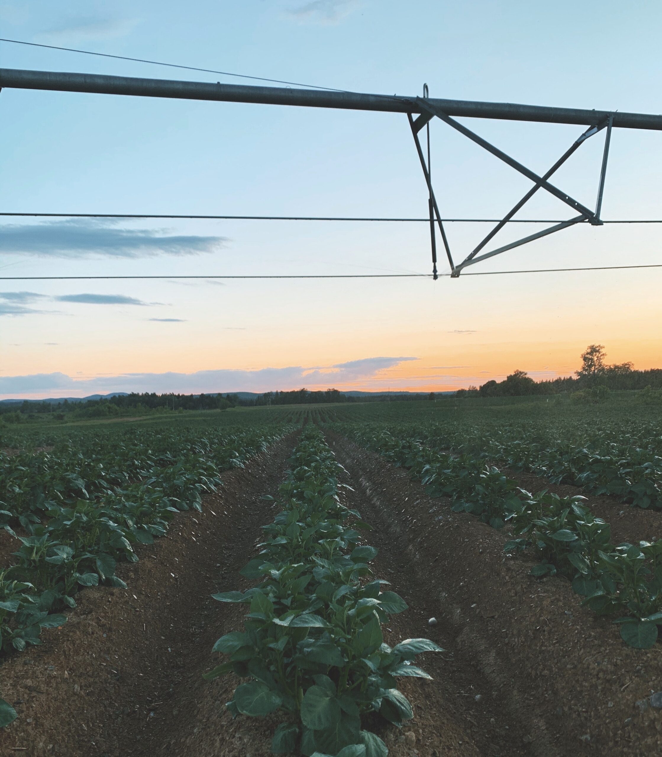 Media Double G Farms