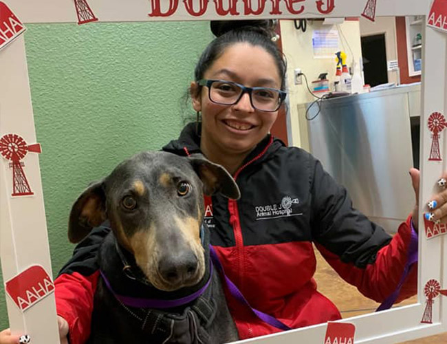 Veterinary Services & Pet Boarding in Hobbs, NM Double J Animal Hospital