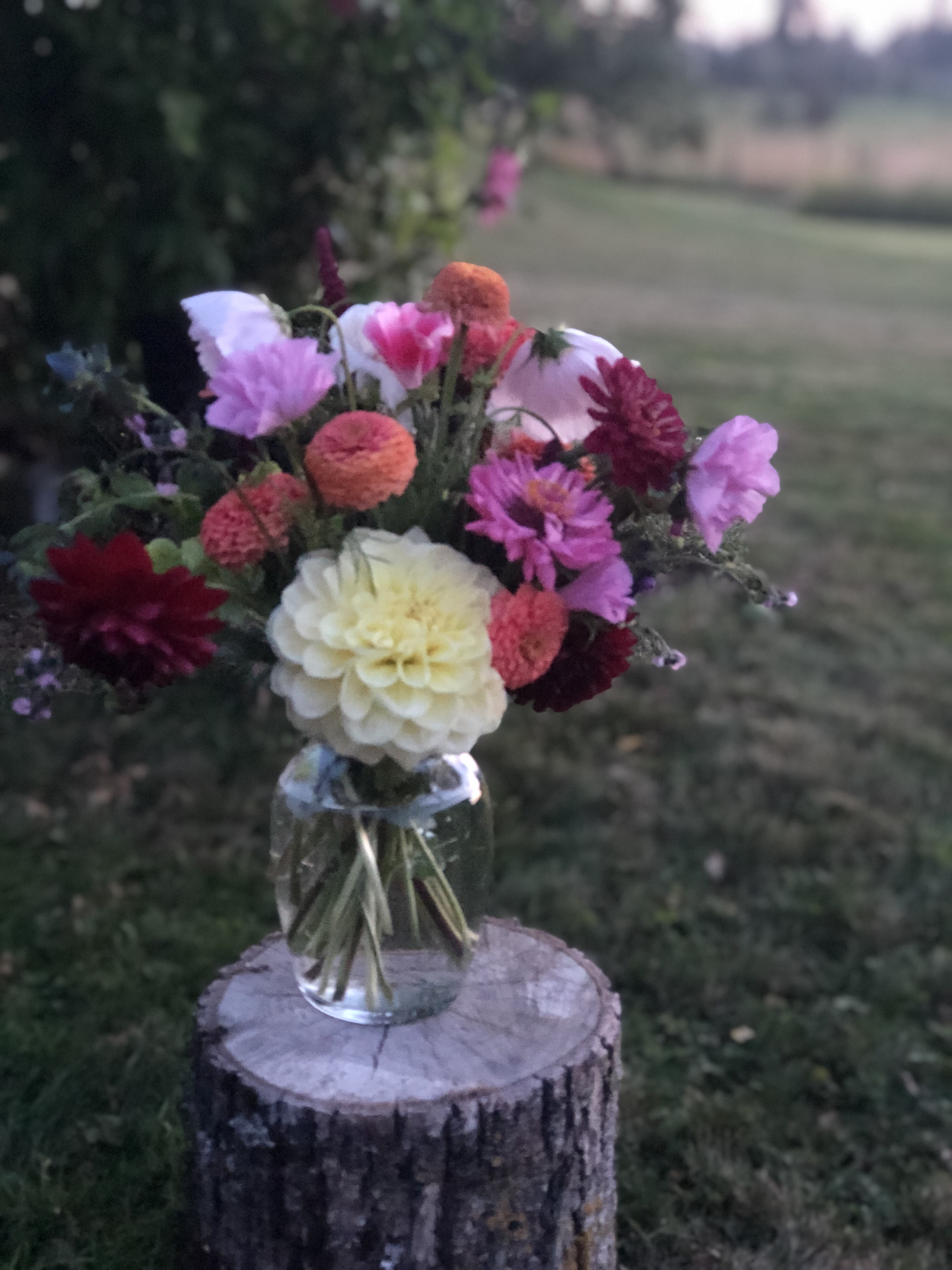 Photo Gallery Double J Flower Ranch