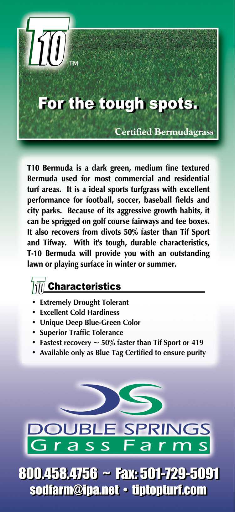 Turfgrass Varieties Double Springs Grass Farms Sod, Zoysia, Ultra