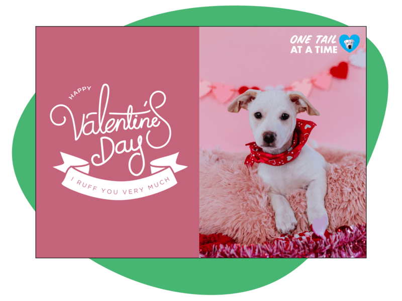 Nonprofit Basics Charity eCards