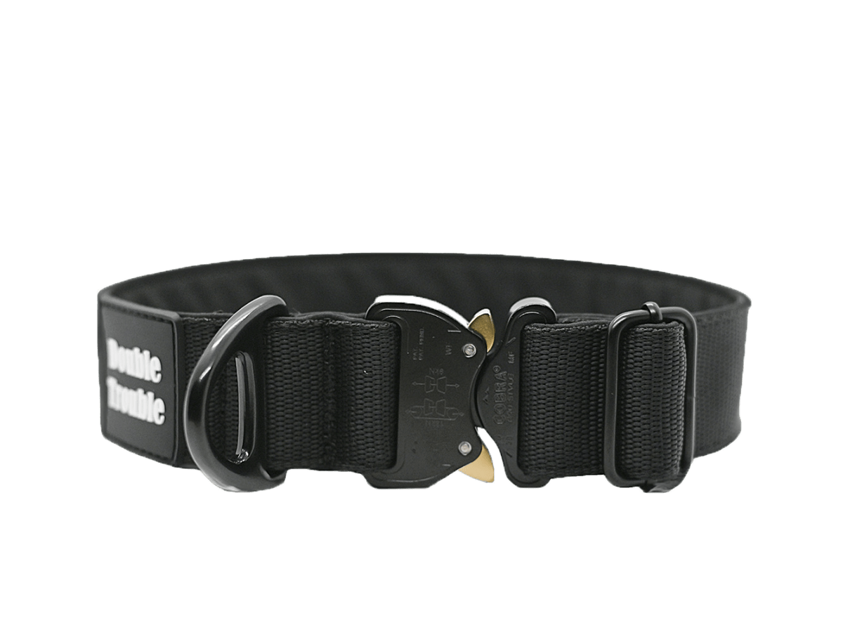 Customize K9 COLLAR DOUBLE TROUBLE