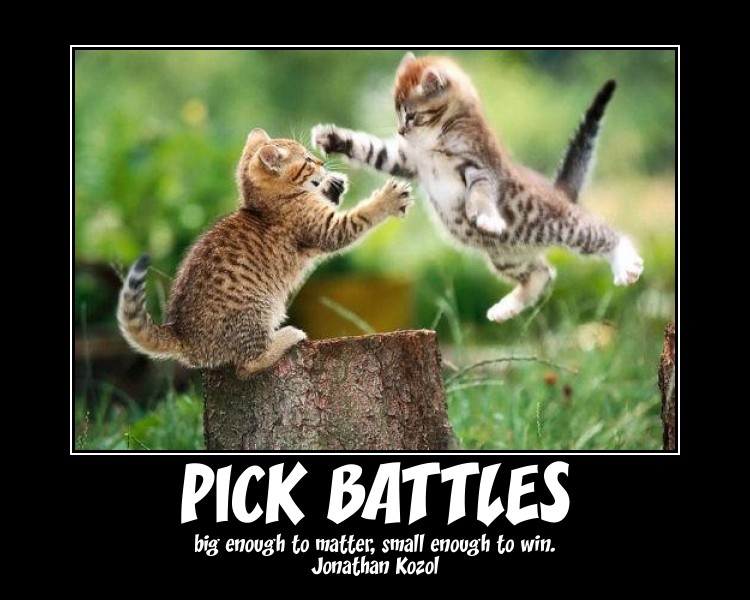 BFTB Picking your fights Home Doug Johnson's Blue Skunk Blog