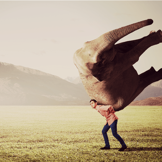 Feeling Fatigue and Heaviness? Here is What is Going On. Doug Addison