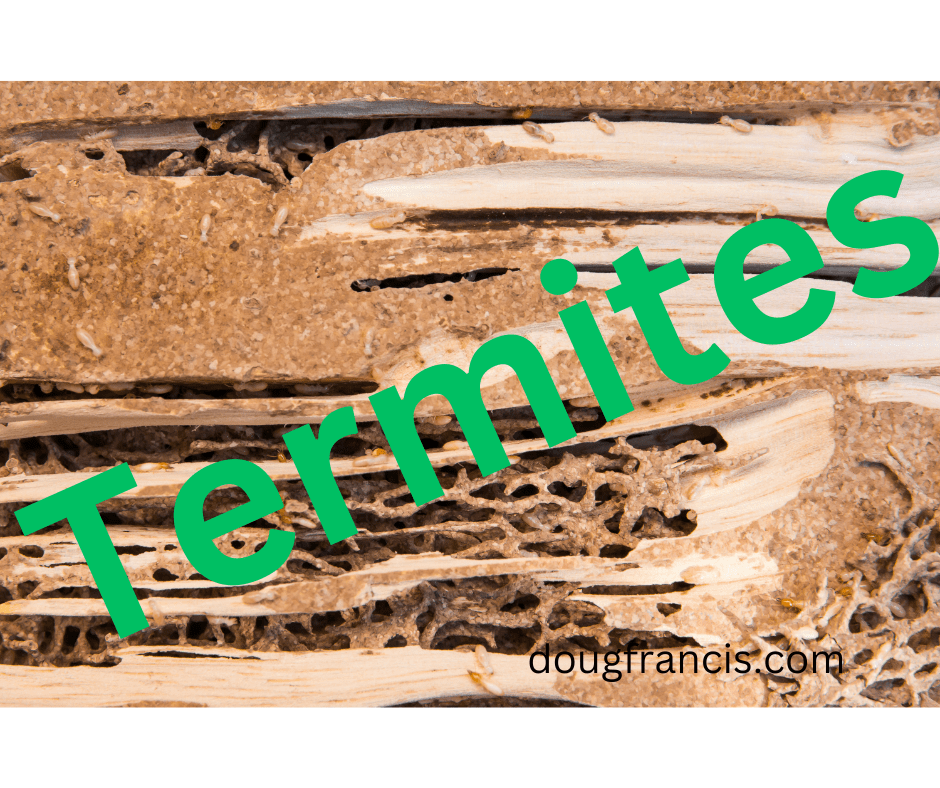 Required termite inspection in Virginia real estate contract?