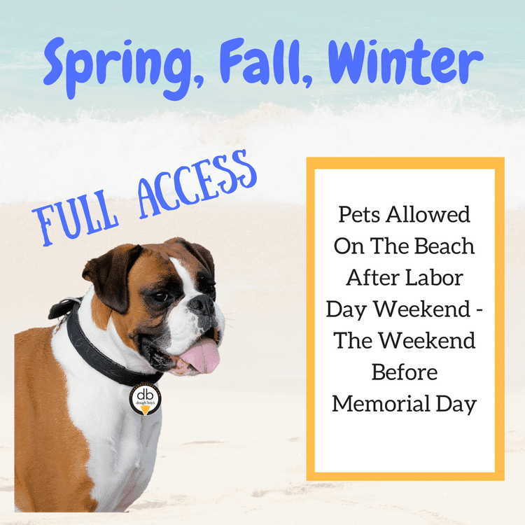 Pet Friendly Virginia Beach Dough Boys