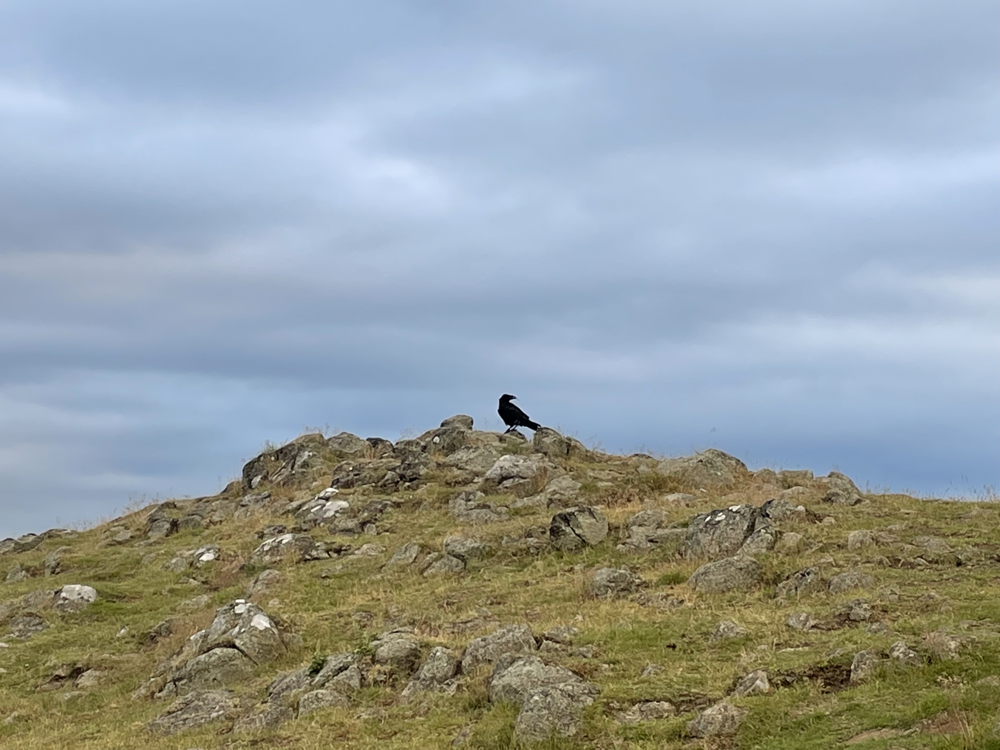 Crow Hill TrackbyTrack Doug Johnstone