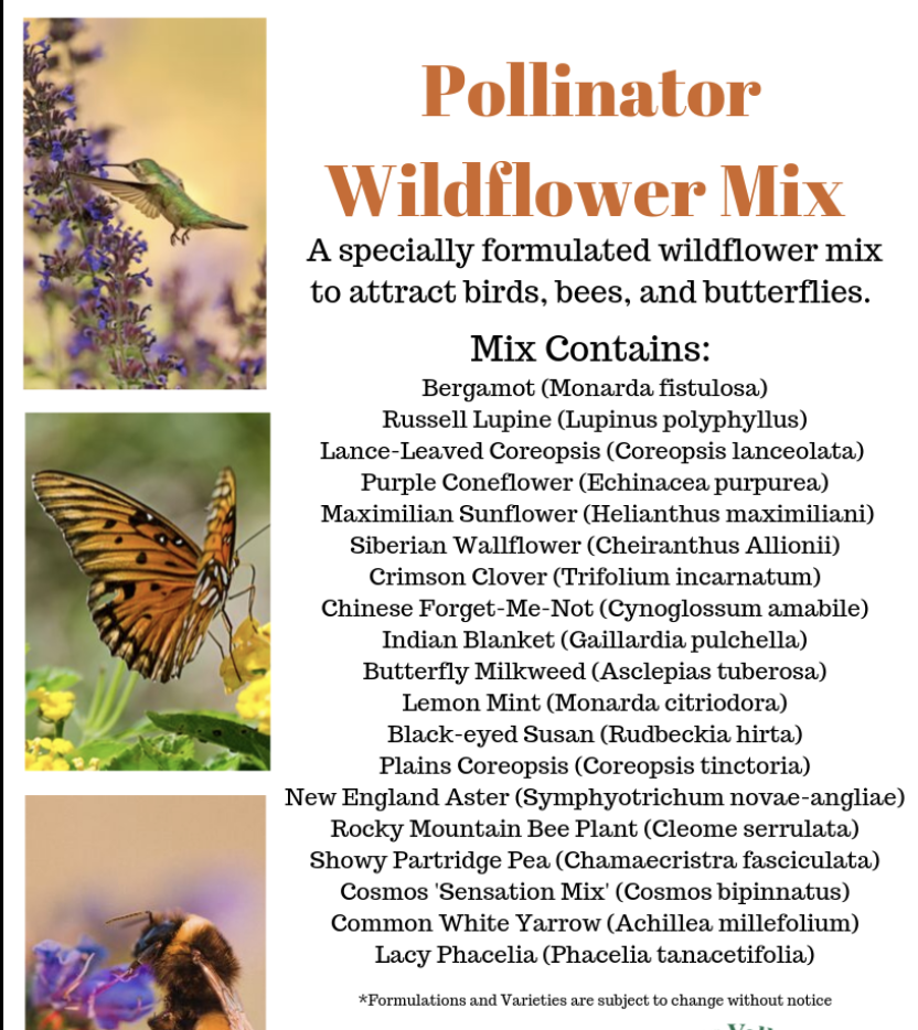 Pollinator Wildflower Mix 1 LB Douglas Conserves
