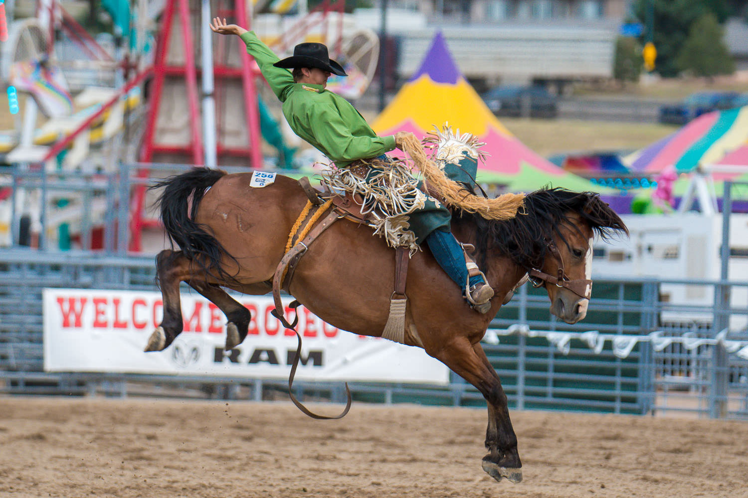 ProRodeo - DC Fair & Rodeo