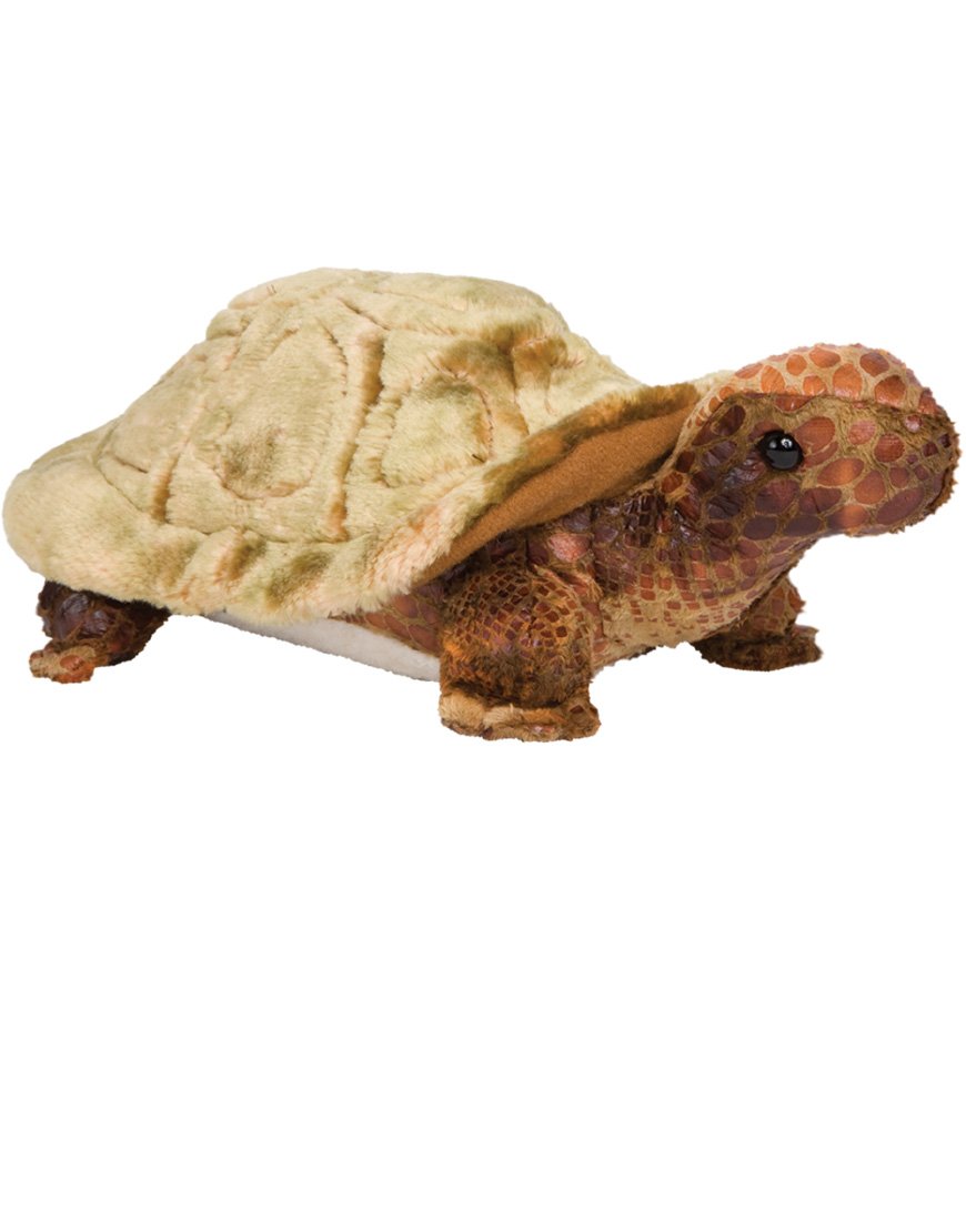 Speedy Tortoise Douglas Toys