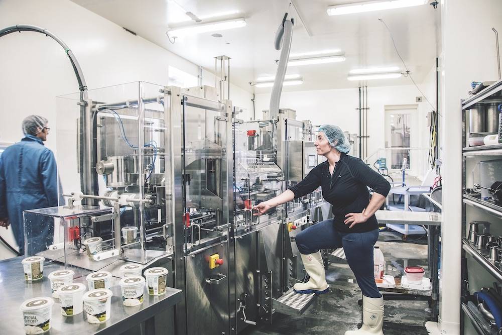 The Story of Artisanal Yogurt Company Tree Island Gourmet Yogurt