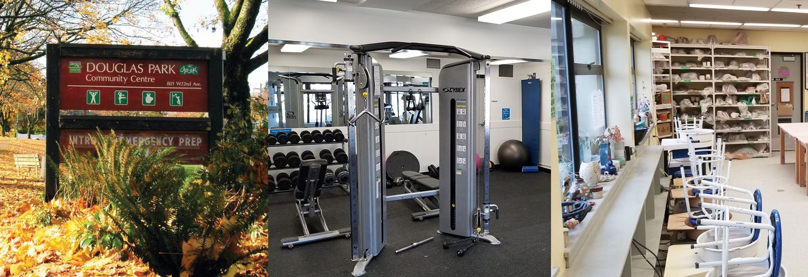 Douglas Park Community Association AGM November 21, 2023 • Douglas Park Community Centre