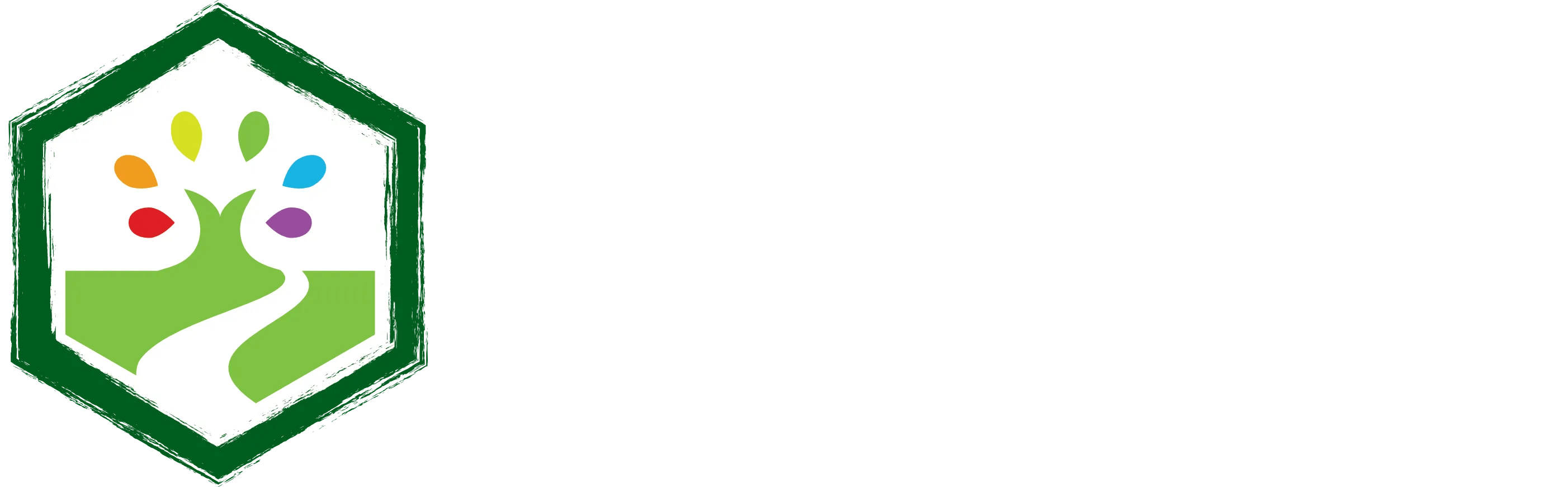 The Douglas Park Project Find out more about the project, born out of