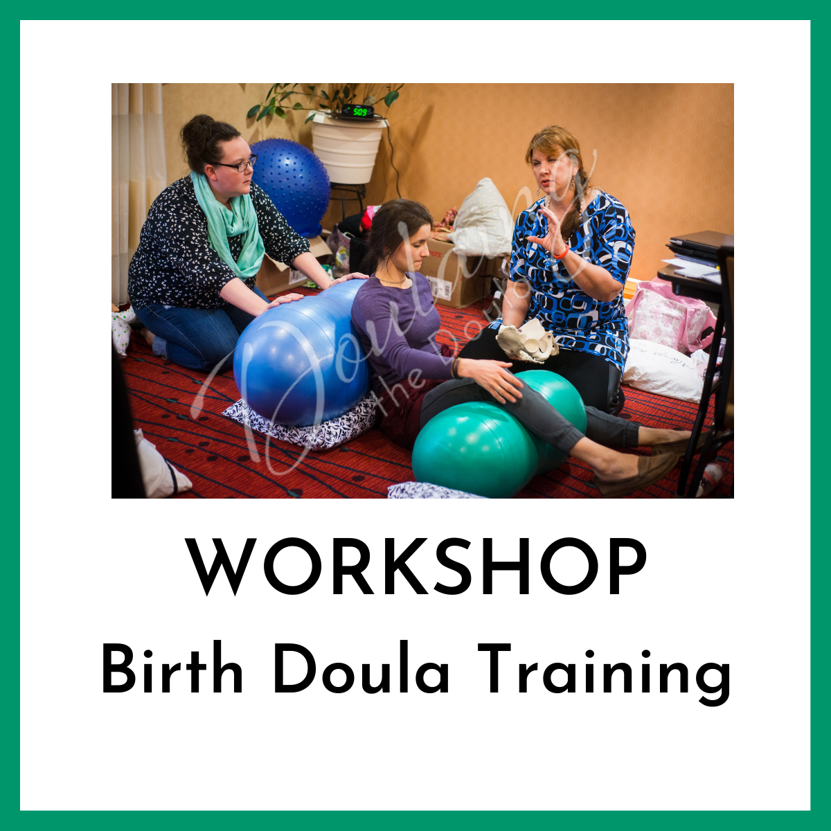 Shop Doulaing the Doula