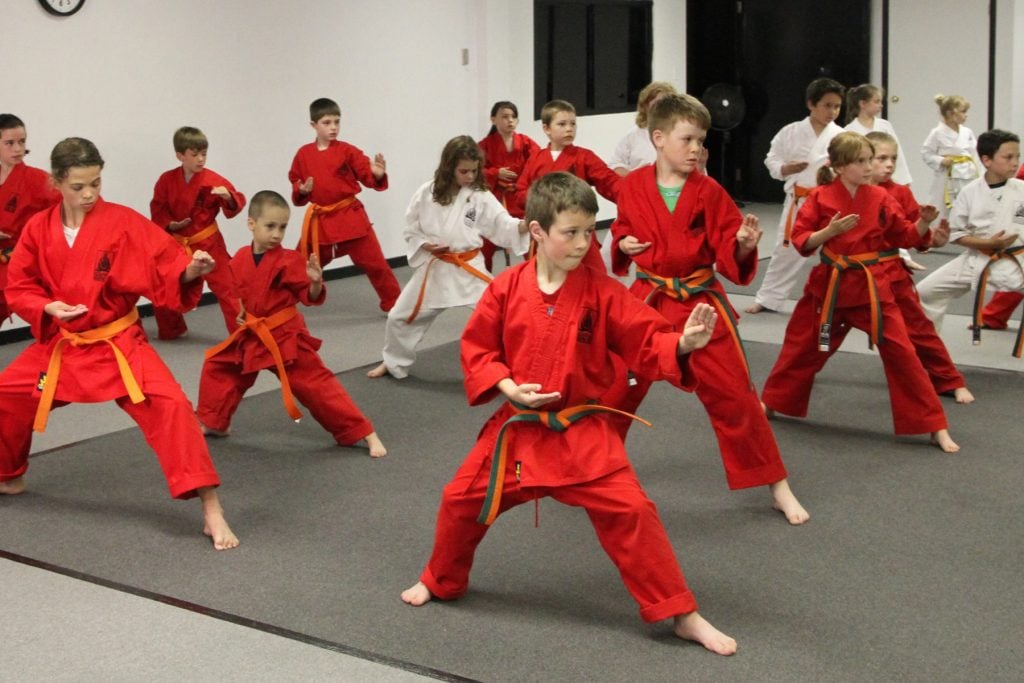 Ottawa Karate Programs — Douvris Martial Arts