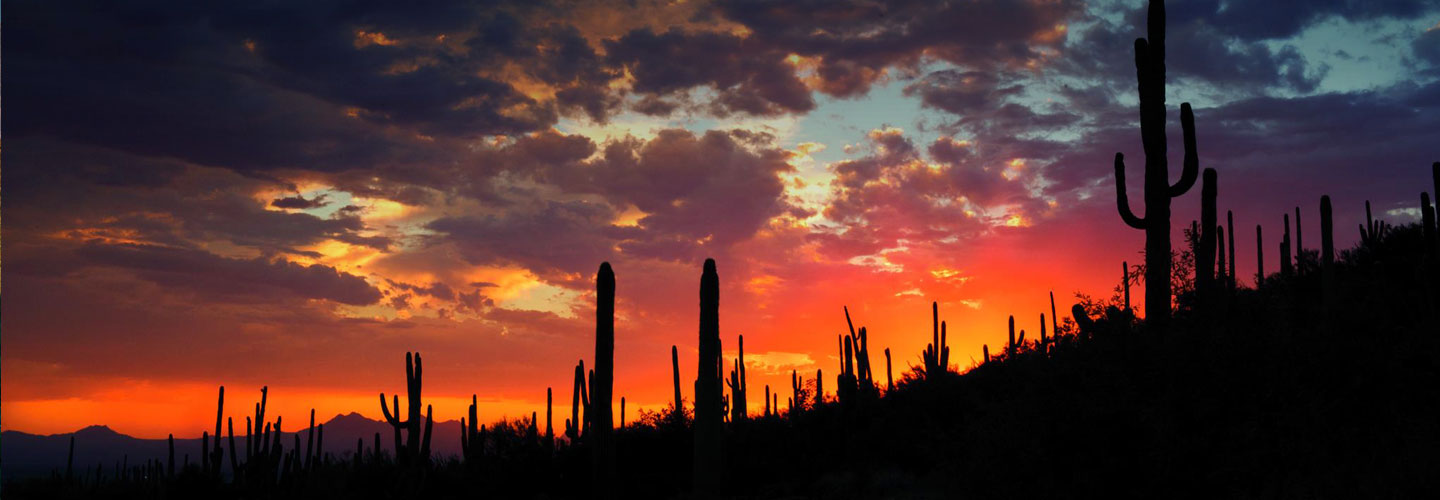 Dove Mountain Real Estate Arizona Luxury Property For Sale