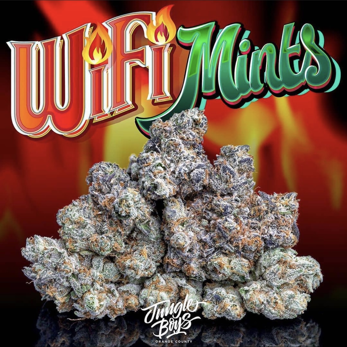 wifi mints strain wifi mint wifi mints strain allbud