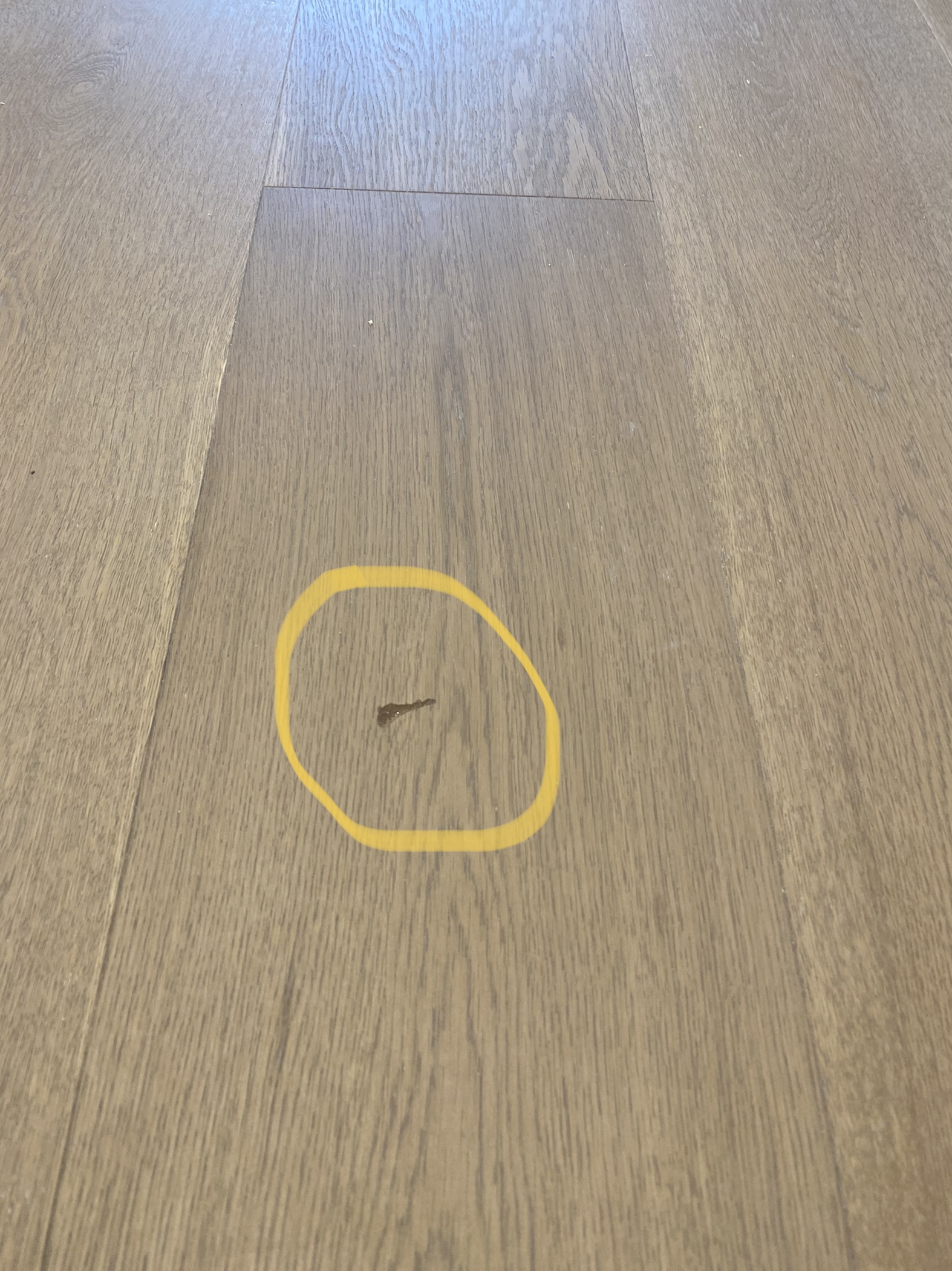 Flooring Repair Specialist Cuts, Scratches and Chips
