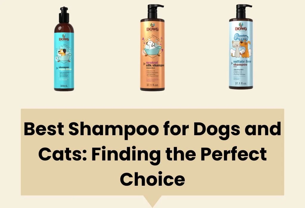 Best Shampoo for Dogs and Cats Finding the Perfect Choice DOWG
