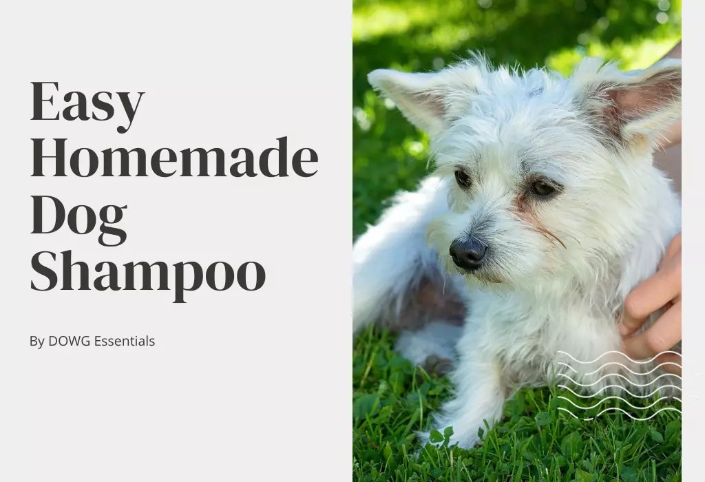 Easy Homemade Dog Shampoo DOWG Essentials