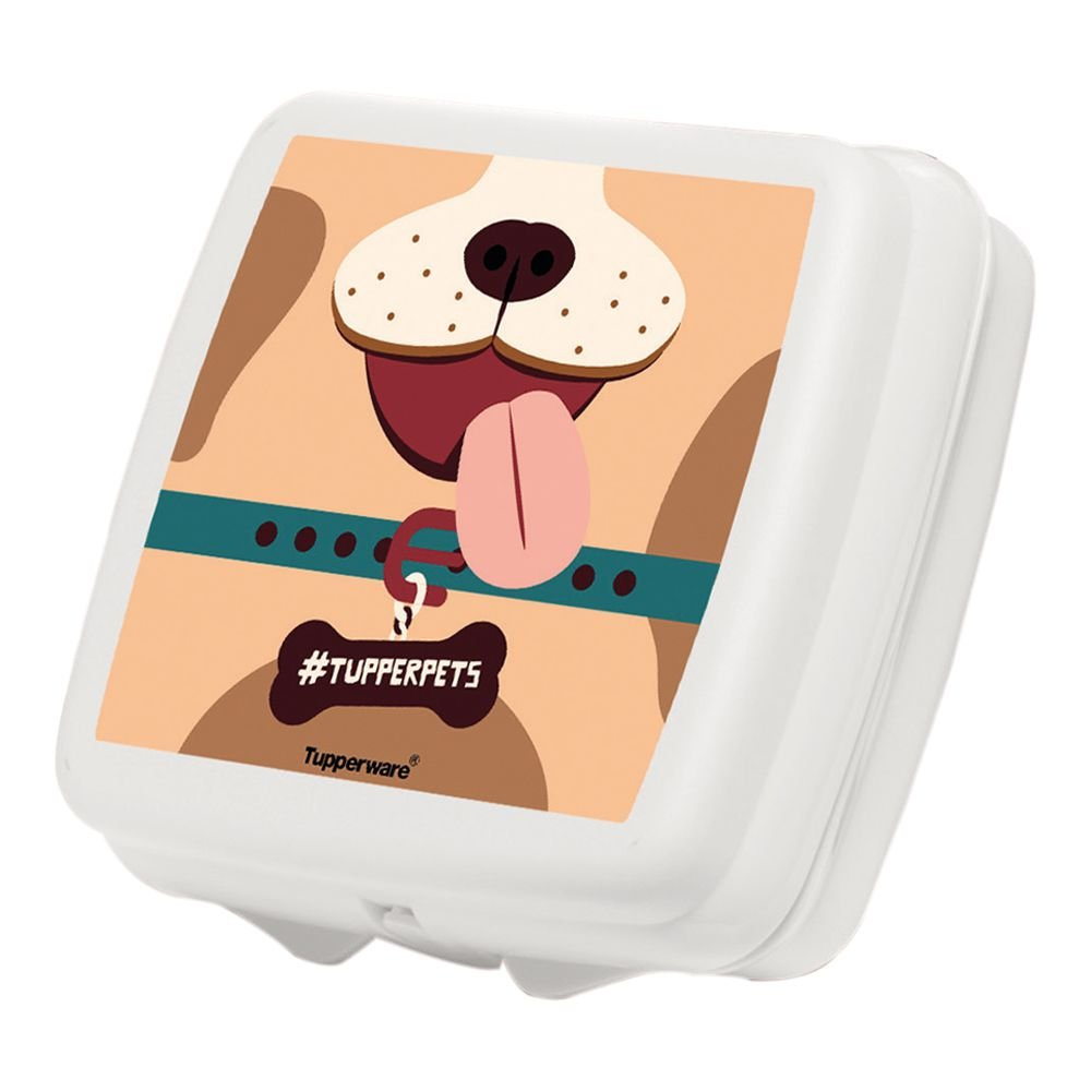 Tupperware Porta Petiscos Quadrado para Pets Snacks Shopee Brasil