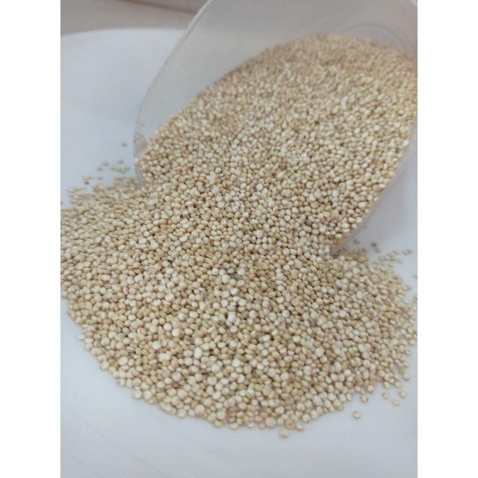 Quinoa Quinua Branca em grãos Pura Shopee Brasil