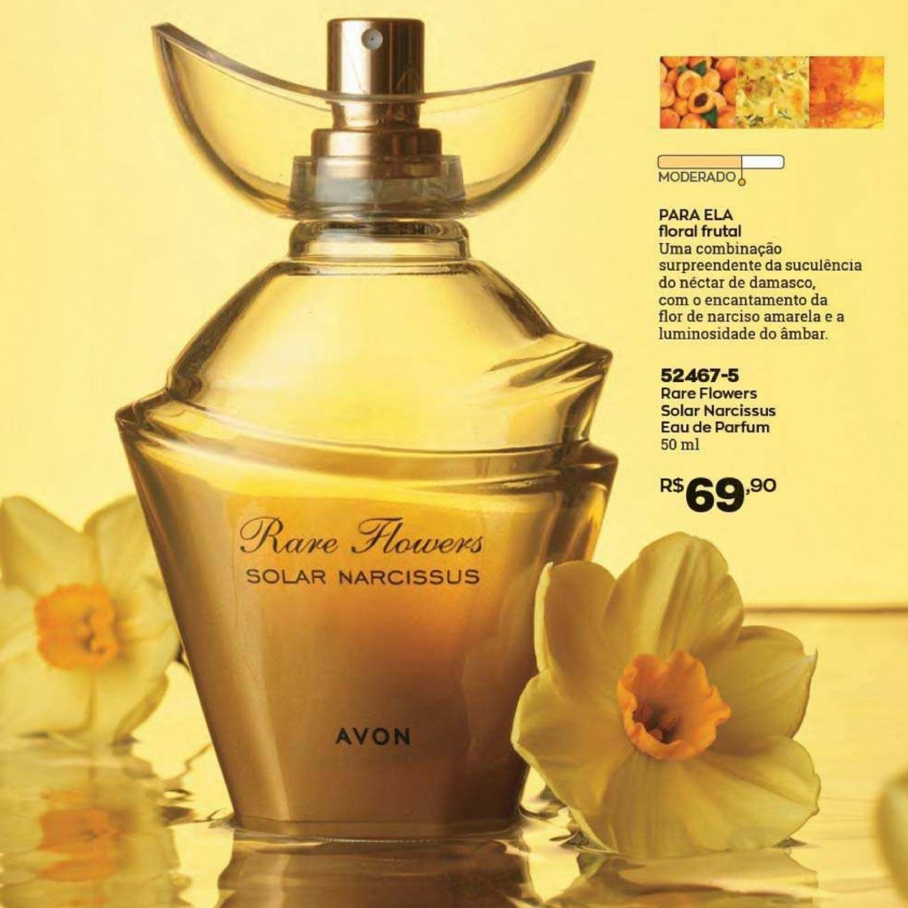 Rare Flower Solar Narcissus Shopee Brasil