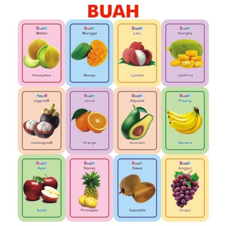 Jual flash card buah Shopee Indonesia