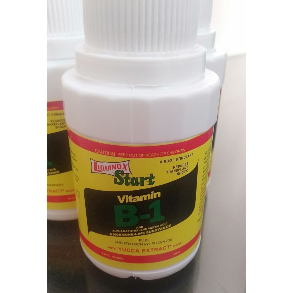 Jual Vitamin B1 untuk Tanaman Liquinox Start 100 ml Original Anti